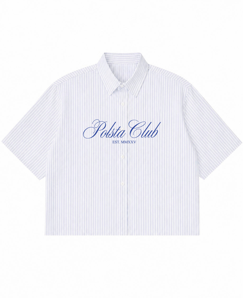 Blue Striped Oxford Boxy Shirt Front Design
