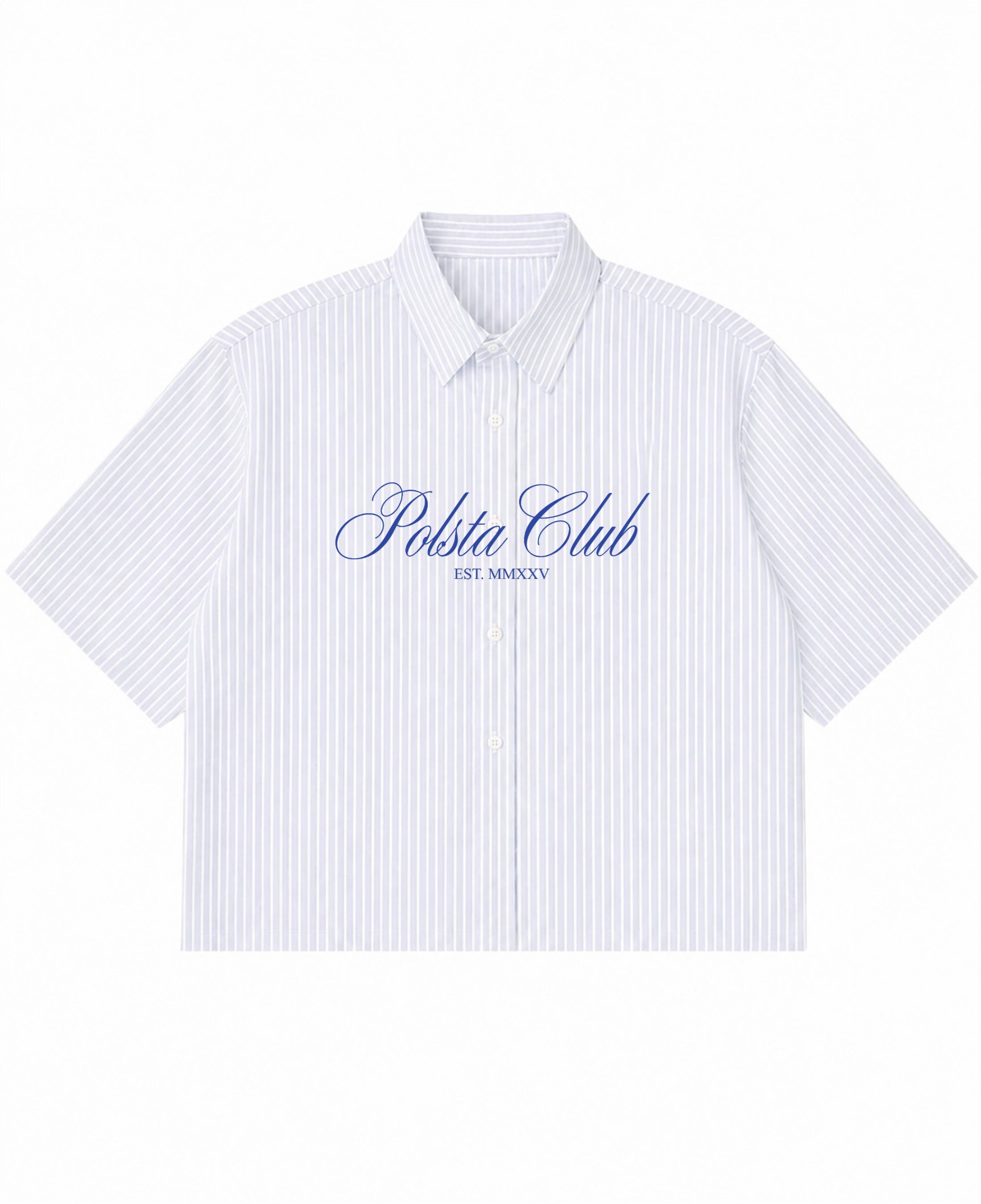 Blue Striped Oxford Boxy Shirt Front Design
